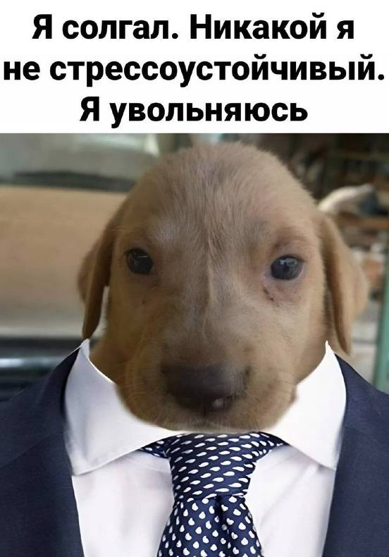 Изображение пользователя Екатерина Колосова