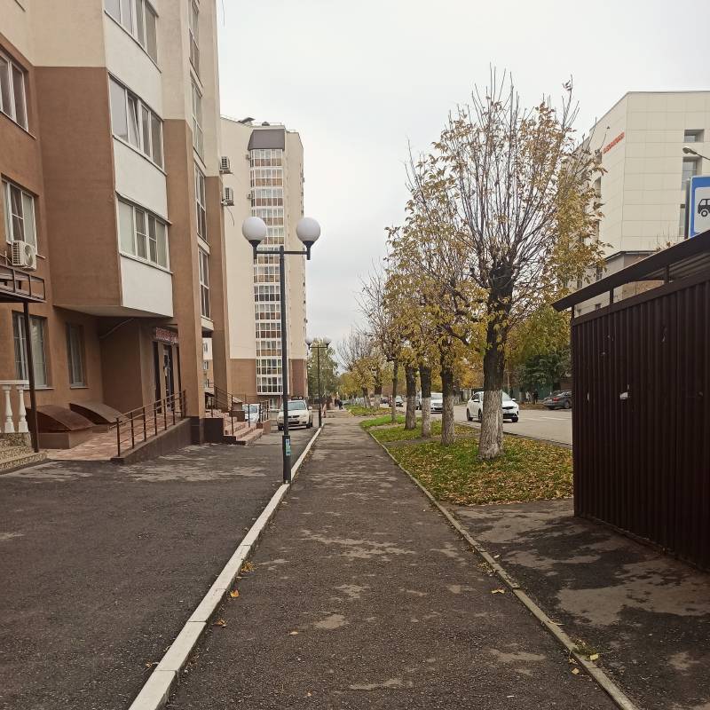 По дороге домой