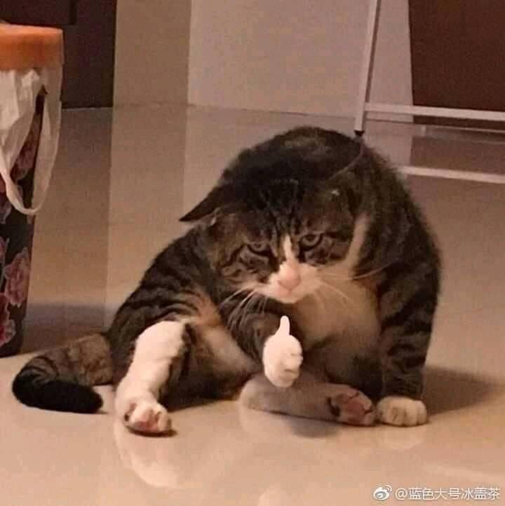 Изображение пользователя JiJi