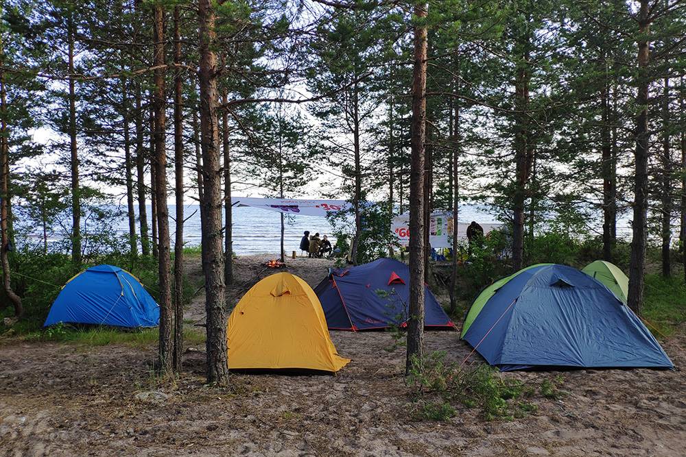 Наш палаточный лагерь на берегу Ладожского озера летом 2019&nbsp;года