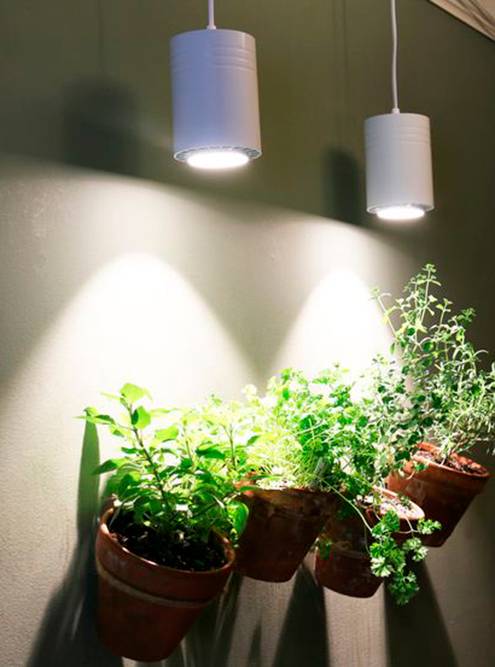 Интенсивность света выше в центре, прямо под лампой. Чтобы растениям по краям тоже было светло, нужно вешать лампы так, чтобы световые потоки накладывались друг на друга, как на этом фото. Источник: Christy Goodlove / Pinterest
