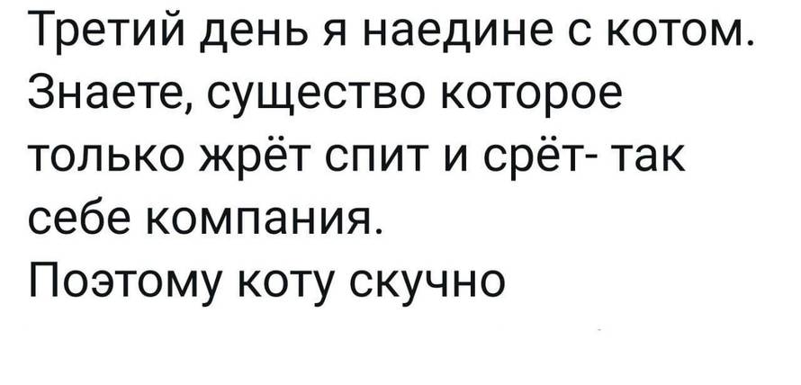 Изображение пользователя Винсент