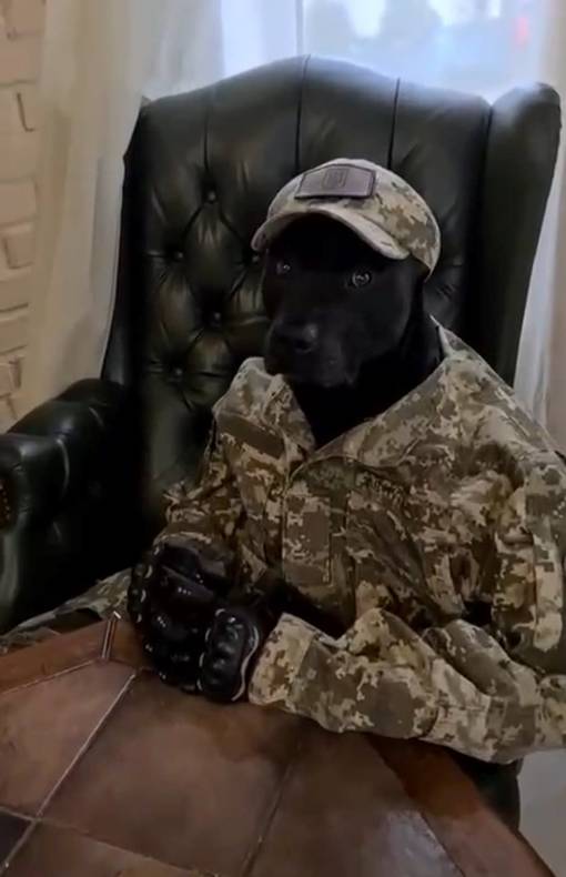 Изображение пользователя Филиппыч