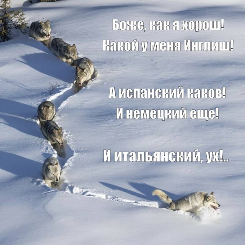 Изображение пользователя Creep