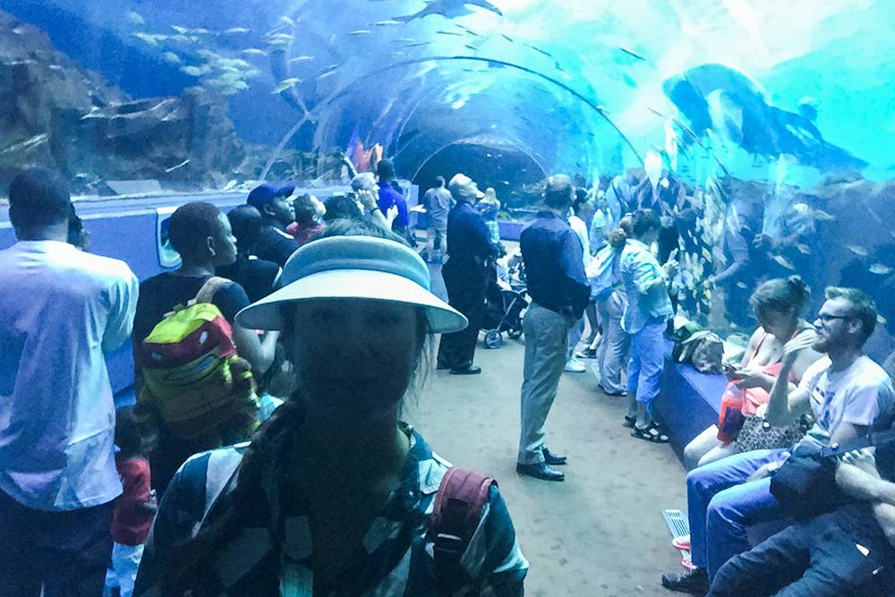 Посетители проходят через гигантскую трубу-аквариум