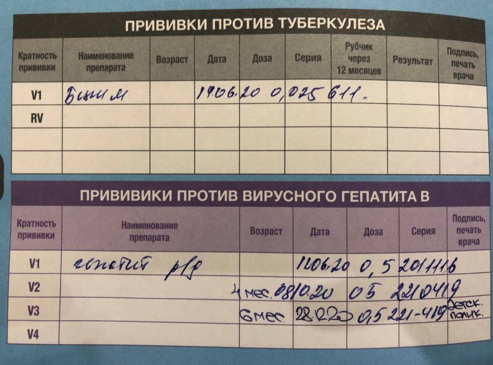 Вот как выглядят отметки о вакцинации в роддоме в прививочном сертификате: на фото БЦЖ-М и прививки от гепатита