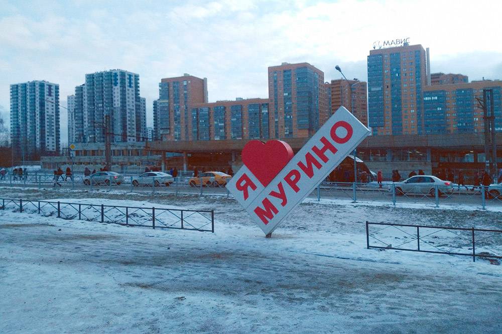 Я живу в Мурине, это город в Ленинградской области, но из моего окна я вижу Петербург. Мы с женой не любим Мурино. Планируем до конца 2019&nbsp;года купить двухкомнатную квартиру в городе