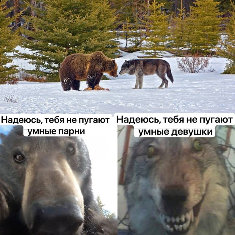 Изображение пользователя Мушу