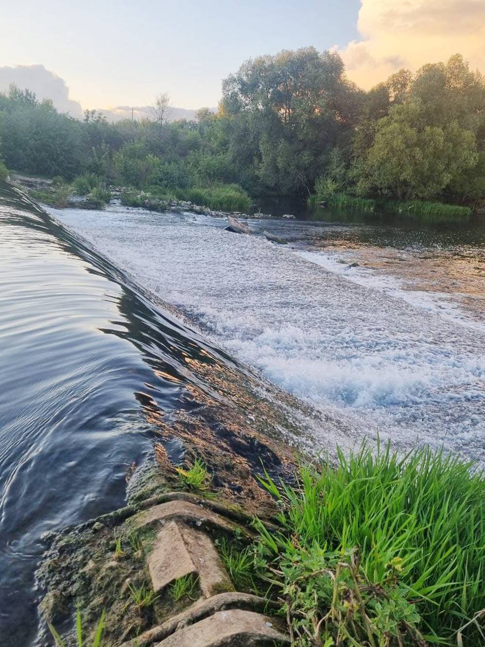 Зарайский водопад — отличное место для фотосессии людей и их питомцев