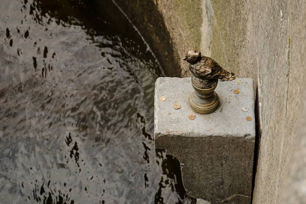Чтобы сбылось желание, нужно кинуть Чижику-пыжику монетку. Но так, чтобы она осталась лежать на постаменте, а не упала в воду. Источник: Tamara Selivanova / Shutterstock
