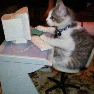 Script Kitty