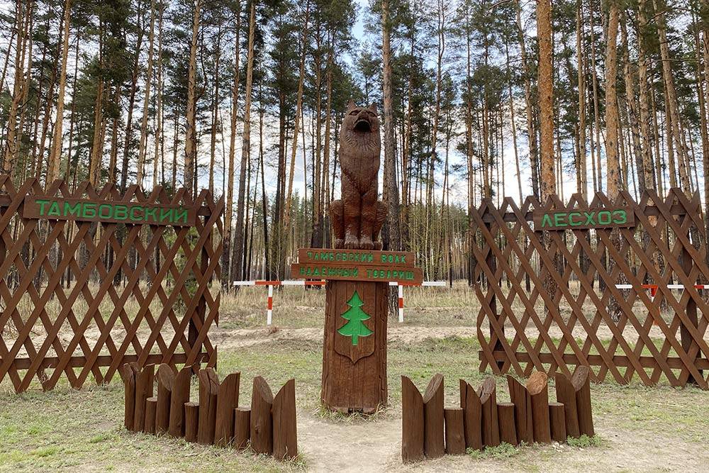 Кафе перун тамбов