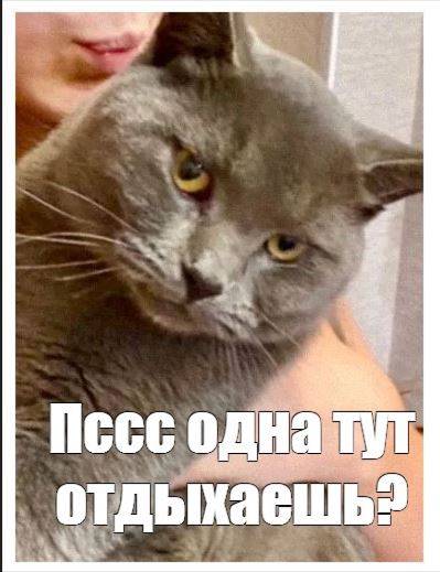 Изображение пользователя Маленький газлайтер