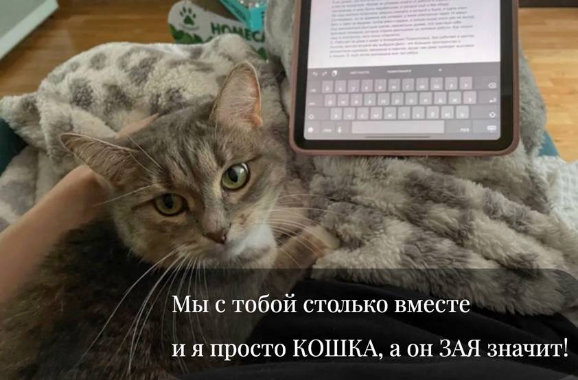 Изображение пользователя Николай