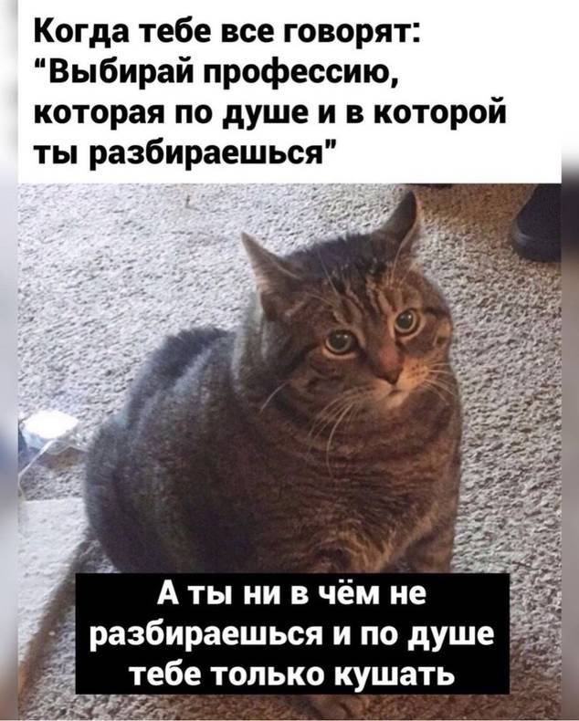 Изображение пользователя Никак