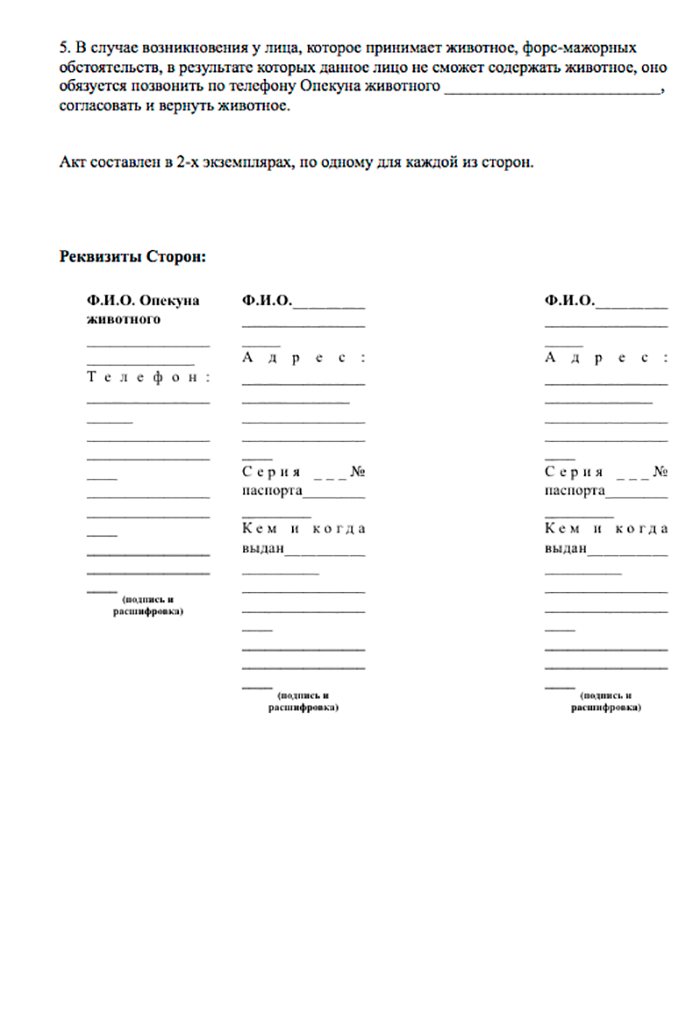 Породы и характер собак как выбрать собаку