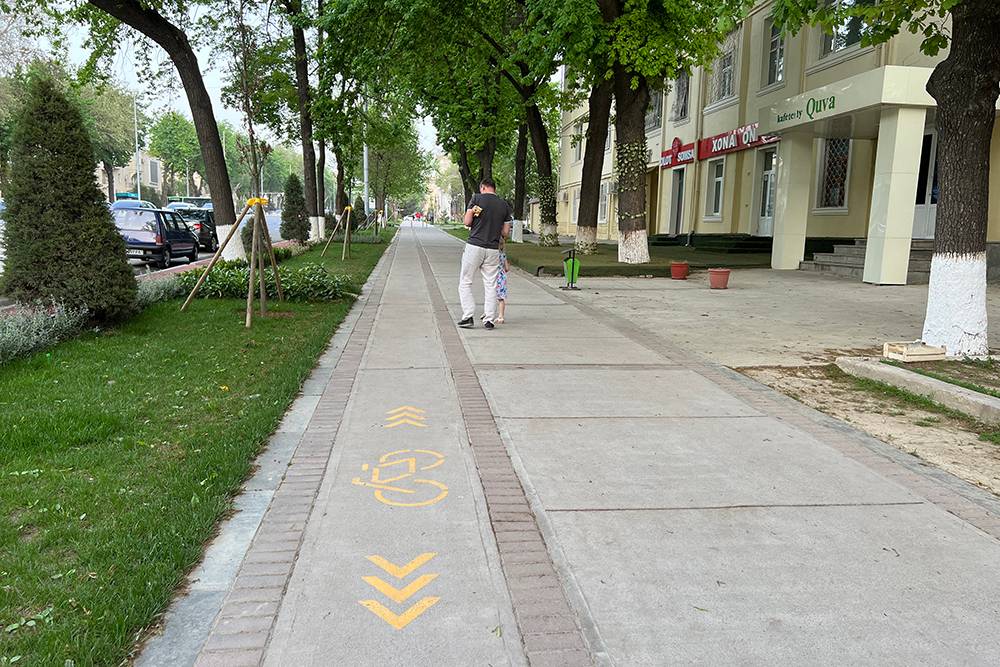 Велодорожки, которыми почти не пользуются