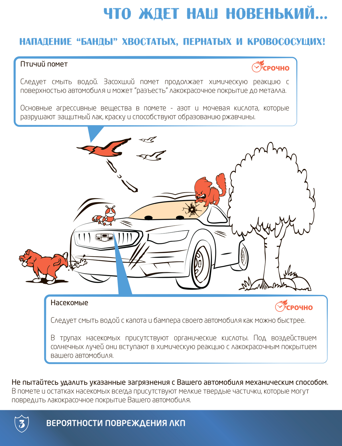 В брошюре «Правила ухода за&nbsp;ЛКП автомобиля» Geely есть пункт о&nbsp;вреде птичьего помета. Источник: geely-motors.com