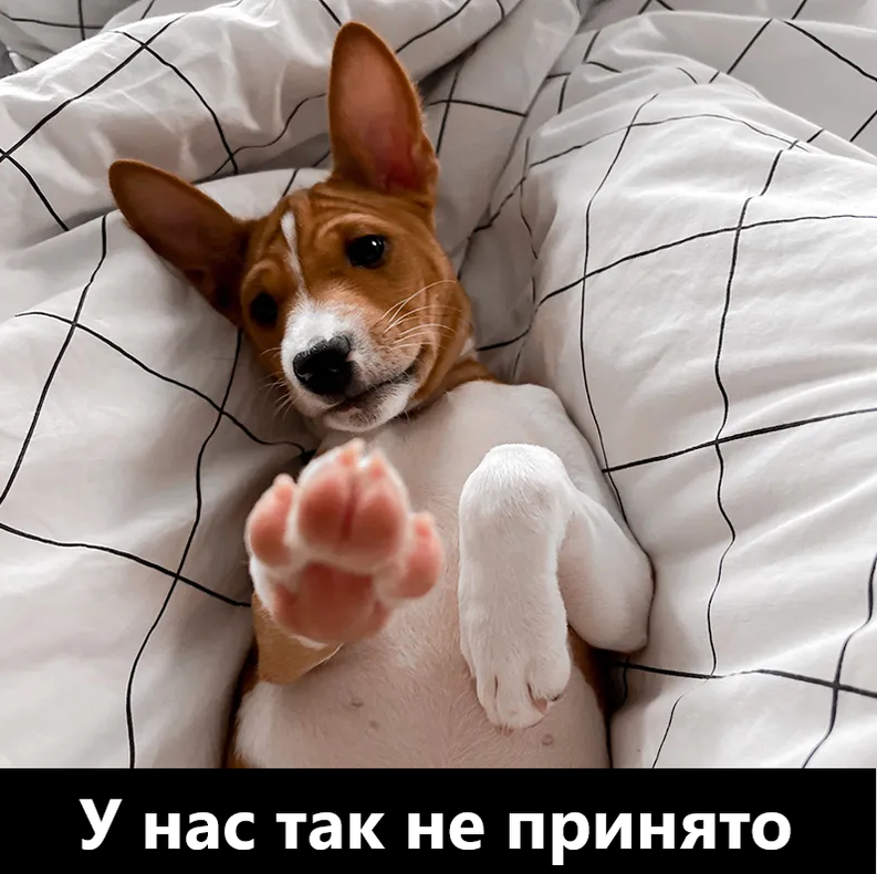 Изображение пользователя Филиппыч