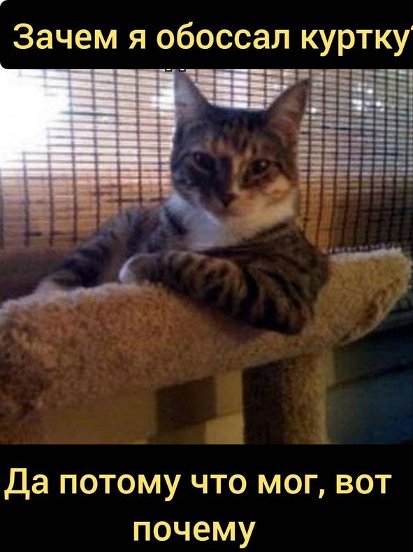 Изображение пользователя Винсент