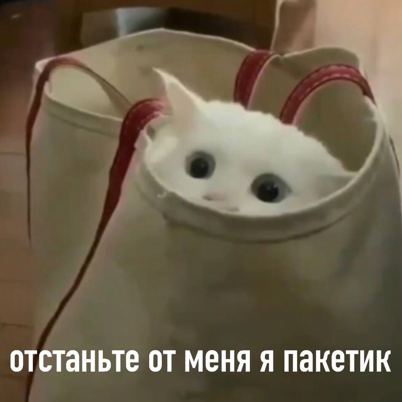Изображение пользователя Малина Вареньевна