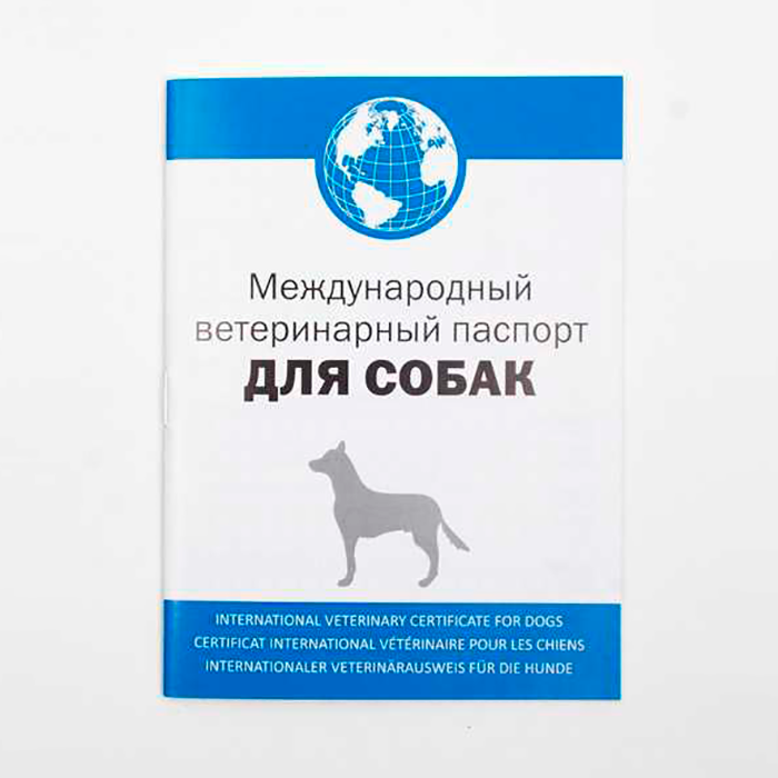 Фото на ветеринарный паспорт собаки требования