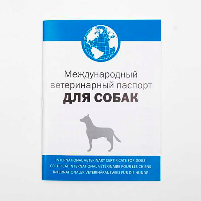 Образец ветпаспорт для собаки
