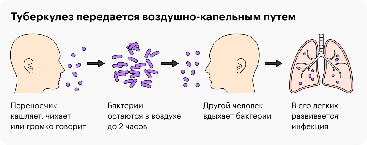 Как передается туберкулез. Туберкулез передается каким путем. Период заразности туберкулеза. Туберкулёз заразен или нет.