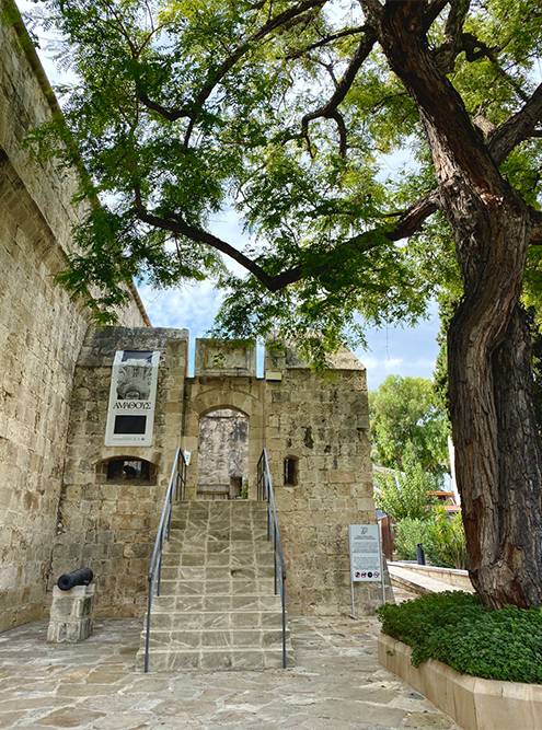 С понедельника по субботу музей работает с 09:00 до 17:00, в воскресенье — с 10:00 до 13:00