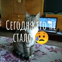 Вася Чураков