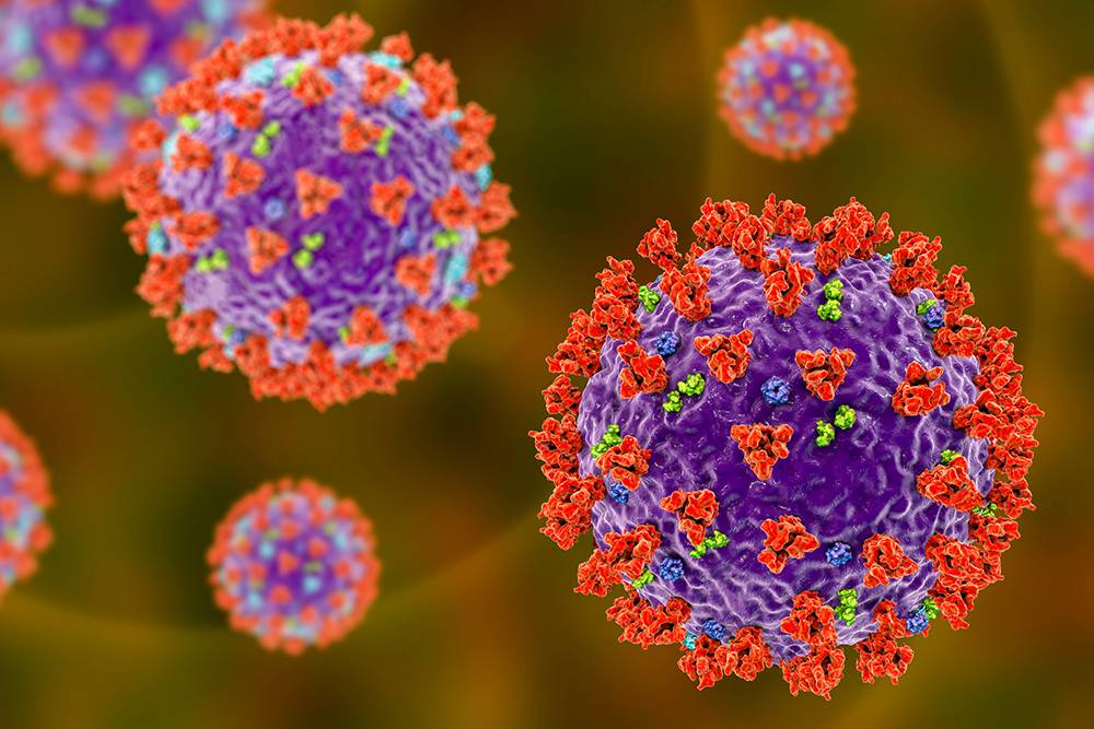 Красивая 3Д-модель вируса. Источник:&nbsp;Kateryna Kon / Shutterstock