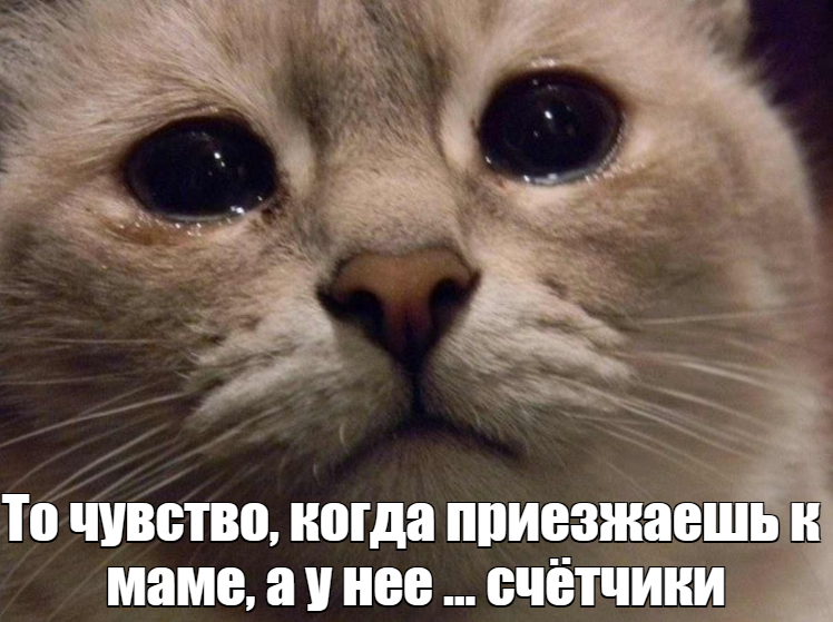 Изображение пользователя Евгений Кулаков