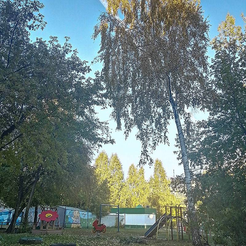 Не перестаю наслаждаться осенью