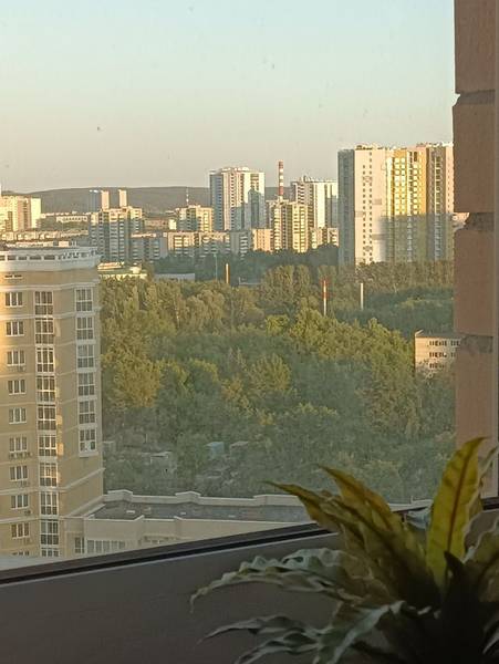 Юрий Петрович