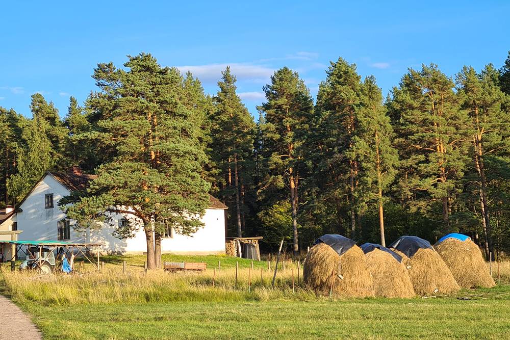Это крестьянско-фермерское хозяйство «Демидовский», на острове Олений рядом с озером Вуокса недалеко от Петербурга