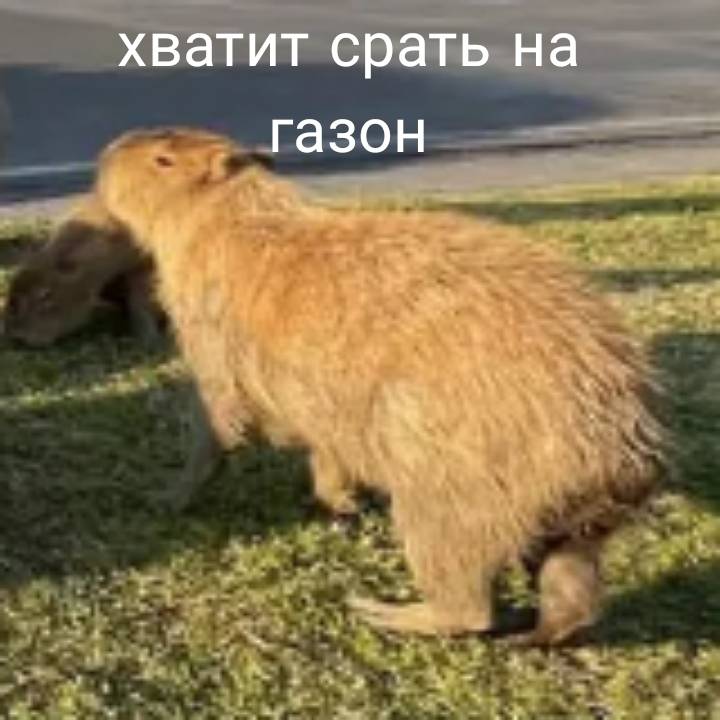 Изображение пользователя davidkin live
