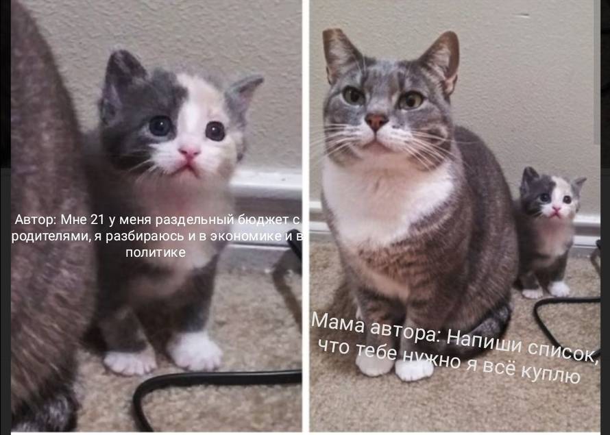 Изображение пользователя Ультиматуфля