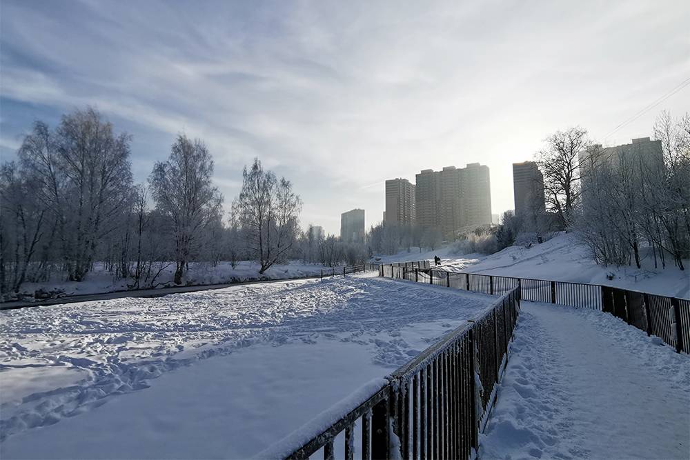 Регион мурино