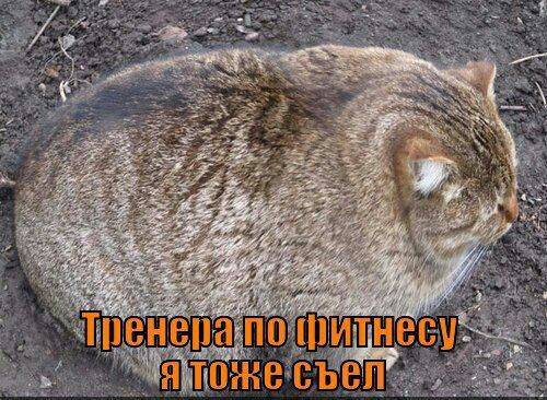 Изображение пользователя Аватарка