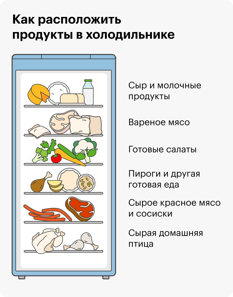 Расположение продуктов в холодильнике по полкам дома