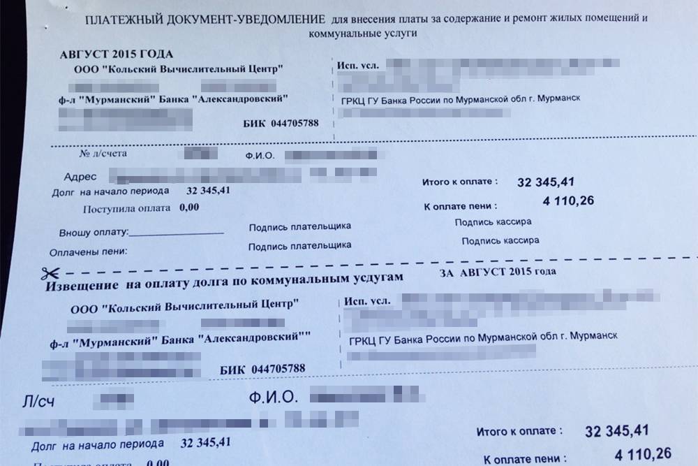 Все эти квитанции и суммы долгов за ЖКХ меня очень сильно расстраивали