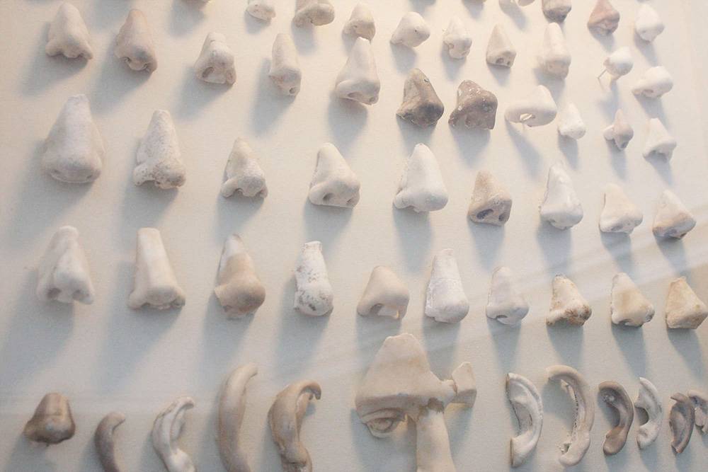 Необычная часть экспозиции — назотека. В ней собрана коллекция отбитых носов и ушей античных скульптур