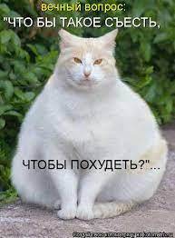 Изображение пользователя Филипп Кругликов