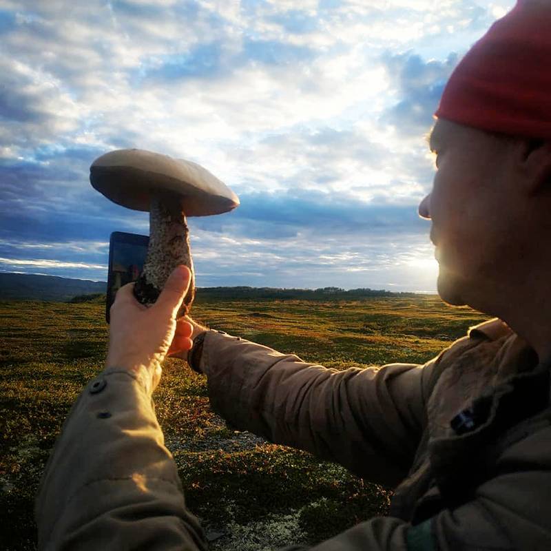 Даже на севере Кольского полуострова во время съемок мы находили вот такие огромные подосиновики