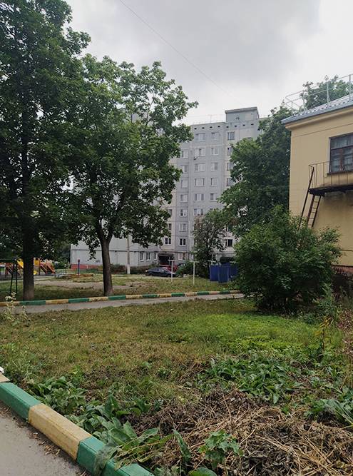 Двор скромный, но обжитой