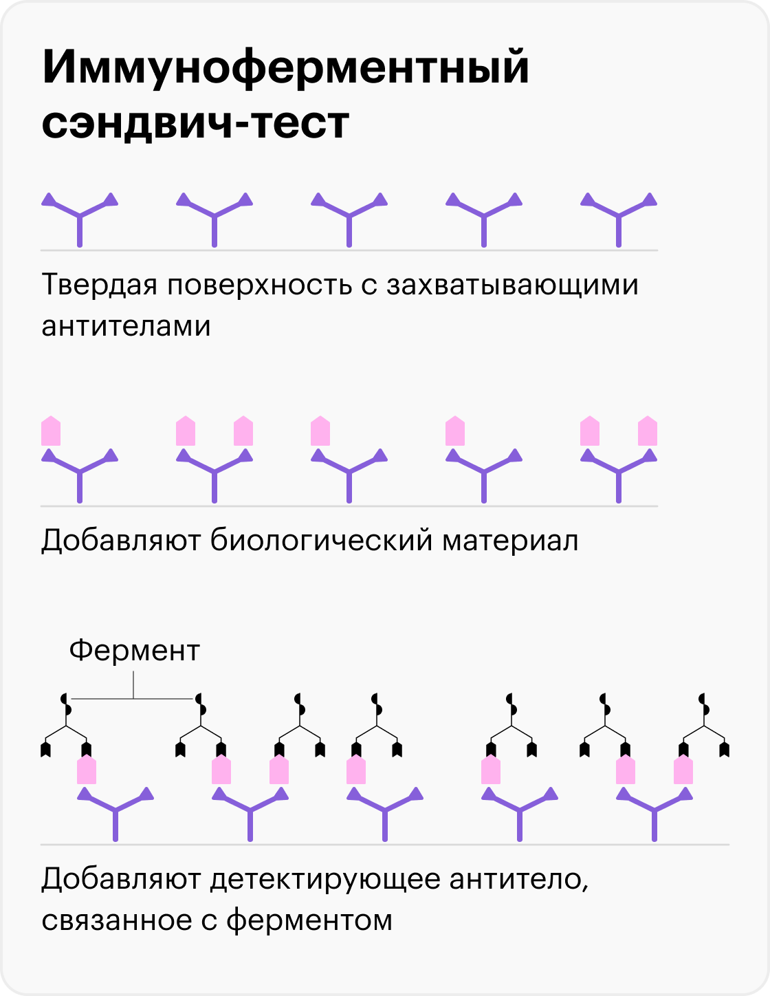 дот иммуноферментный анализ фото 106