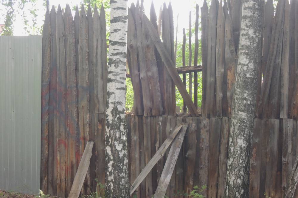 Наше СНТ огорожено забором, но он уже давно не преграда