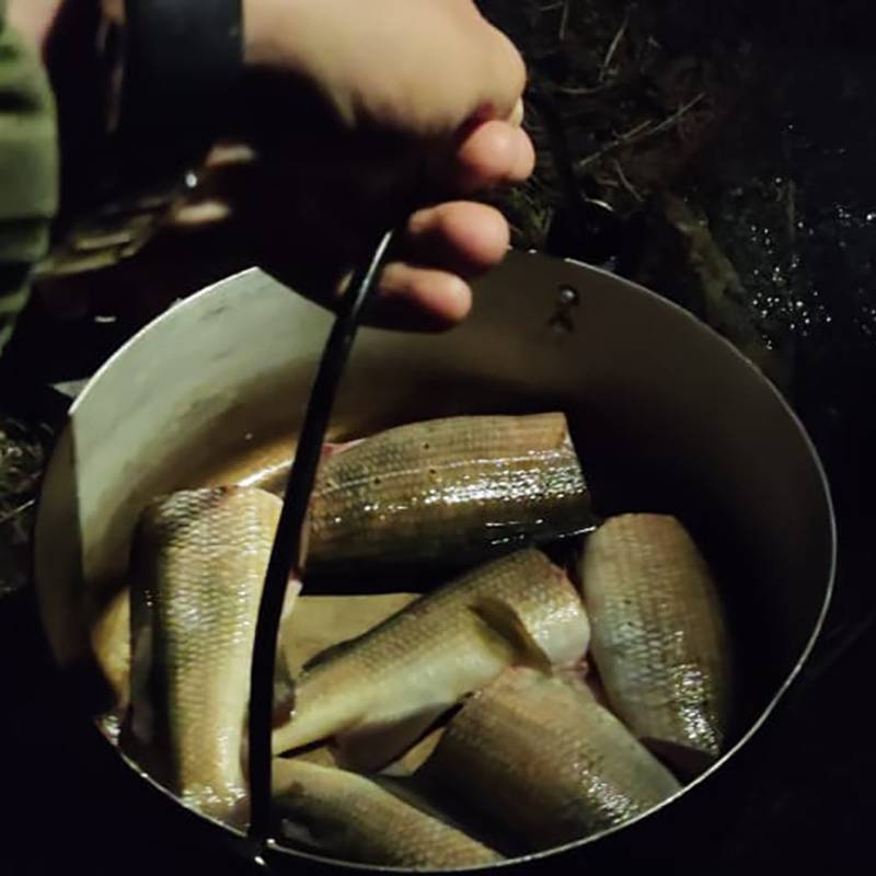 Собираюсь варить уху из хариуса. Хариус относится к благородным видам рыб типа форели, водится в горных реках