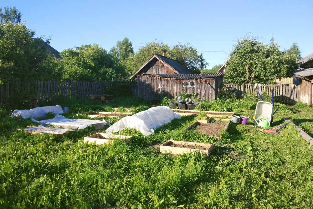 А вот и наш игрушечный огородик. Сами от&nbsp;себя не&nbsp;ожидали, но&nbsp;ведь посадили: капуста, картошка, морковь, свекла, разнообразная зелень, огурцы и&nbsp;даже пара кустов садовой земляники
