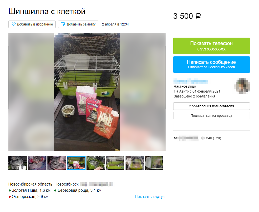 Хозяйка пишет, что у нее нет времени, чтобы следить за животным. Отдает клетку «евростандарта», что&nbsp;бы это ни значило. И в придачу корм не лучшего качества: питаться таким кормом несколько лет грозит проблемами со здоровьем. Источник: «Авито»